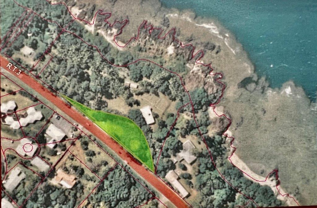 TERRAIN à la VENTE à POINDIMIE