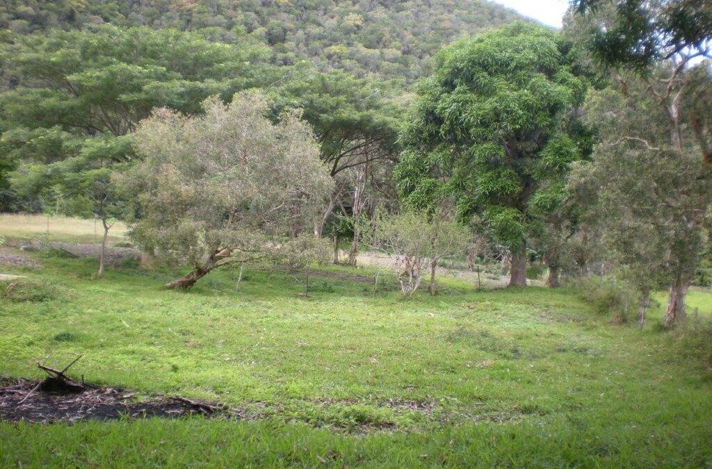 Terrain SARRAMEA à la VENTE